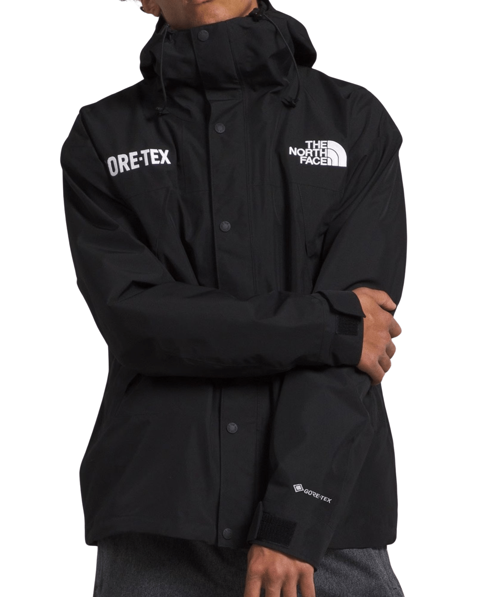 The North Face Alpine Project GORE-TEX Jacket (Men's)
